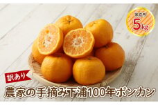 S040-029_【訳あり】農家の手摘み　下浦100年ポンカン　家庭用　5kg