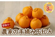 S040-030_【訳あり】≪順次発送≫農家の手摘み　不知火　家庭用　3kg