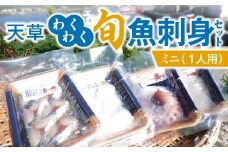 S059-021_天草わくわく旬魚刺身セットミニ（１人用）