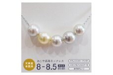 S085-400_あこや真珠 ナチュラルカラー 8mm - 8.5mm 5粒 スルーネックレス ネックレス マルチカラー SV925 シルバー925 真珠【A：あずきチェーン】