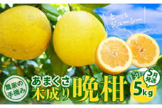 S040-032_農家の手摘みあまくさ木成り晩柑  約5kg＜5月発送＞