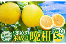 S040-032_農家の手摘みあまくさ木成り晩柑  約5kg＜7月発送＞