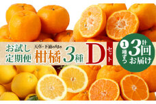 S040-T11_【お試し定期便】天草・下浦の旬の柑橘3種Dセット