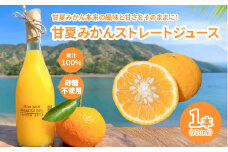 甘夏みかんストレートジュース_S162-002