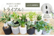 S060-110_【ふるさと納税限定】初心者の人にもお勧め！エコ・ポチ　トライアルセット