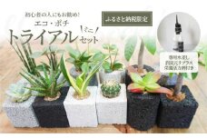 S060-111_【ふるさと納税限定】初心者の人にもお勧め！エコ・ポチ　トライアルセット・ミニ