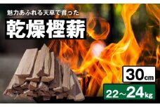 S163-001_魅力あふれる天草で育った乾燥樫薪（天樫　長さ30cm　22～24kg）