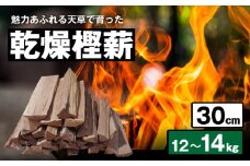 S163-004_魅力あふれる天草で育った乾燥樫薪（天樫　長さ30cm　12～14kg）