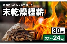 S163-007_魅力あふれる天草で育った未乾燥樫薪（天樫　長さ30cm　22～24kg）
