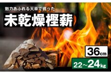 S163-008_魅力あふれる天草で育った未乾燥樫薪（天樫　長さ36cm　22～24kg）