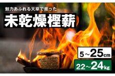 S163-009_魅力あふれる天草で育った未乾燥樫薪（天樫　5cm～25cmコロ薪　22～24kg）