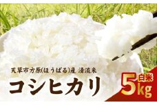 S150-003_天草市方原産　白米（コシヒカリ）5キロ【先行受付】