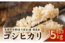 S150-005_天草市方原産　玄米（コシヒカリ）5キロ【先行受付】