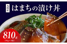 S155-003_九州産はまちの漬け丼 9食セット
