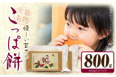 S170-001_天草名物 優しい甘さのこっぱ餅(いも餅) 400g×2パック
