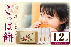 S170-002_天草名物 優しい甘さのこっぱ餅(いも餅)400g×3パック