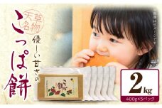 S170-003_天草名物 優しい甘さのこっぱ餅(いも餅)400g×5パック