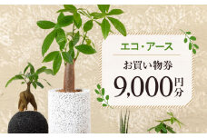 S060-120_エコ・アースでご利用可能なお買い物券　9,000円分