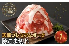 S058-026_天草プレミアムポーク 豚こま切れ 約1kg(約500g×2パック)