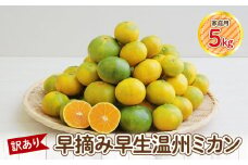 S040-025_【訳あり】早摘み早生温州ミカン 家庭用5kg