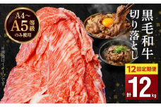 S001-001-T12_03_【定期便12回】A4～A5等級 黒毛和牛 切り落とし1kg（500g×2P）12か月連続お届け【2026年3月発送開始】