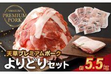 S058-027_天草プレミアムポークよりどりセット約5.5kg