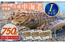 S146-002_家庭用 Lサイズ 冷凍 車海老(要加熱)750g