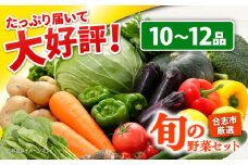 旬のお野菜 セット 10〜12品 野菜 旬 季節 詰め合わせ おまかせ 新鮮 やさい 産地直送 熊本県 合志市 【一般社団法人クラッシーノこうし】[AYAB008]