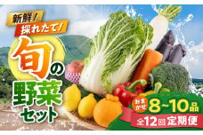 【全12回定期便】旬な野菜おまかせ詰め合わせセット やさい 産直 産地直送 熊本県【合志物産販売 志来菜彩】 [AYCA002]
