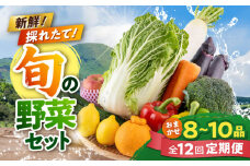 【全12回定期便】旬な野菜おまかせ詰め合わせセット やさい 産直 産地直送 熊本県【合志物産販売 志来菜彩】 [AYCA002]