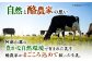 大阿蘇牛乳 1000ml (6本入り) 熊本県産 熊本 九州 生乳100%