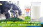 【全6回定期便】大阿蘇牛乳 ロングライフ 1000ml (6本入り) 熊本県産