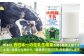 大阿蘇牛乳 ロングライフ くまモンラベル 200ml 24本（12本入り×2ケース） 4.8L