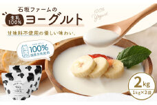 石坂ファームの生乳100％ヨーグルト 1kg×2個 合計2kg ヨーグルト 甘味料不使用 スイーツ デザート 乳製品 冷蔵