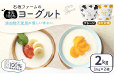 2種のヨーグルトセット 1kg×2個 合計2kg THEヨーグルト プレーン きび砂糖 ヨーグルト 甘味料不使用 スイーツ デザート 乳製品 冷蔵