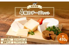4種のチーズセット 4個 合計410g チーズ セミハード ブラウンチーズ 白カビチーズ カマンベール 乳製品 スイーツ デザート 冷蔵