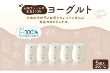 石坂ファームの生乳100％ ヨーグルト 450g×5個 計2.25kg 国産 無糖 プレーン 熊本 生乳 スイーツ