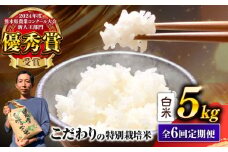 【先行予約】 【令和7年度】 【全6回定期便】 くまさんの輝き 白米 5kg 計30kg（2025年10月下旬ごろ順次発送） 米 こめ コメ お米 はくまい 精米【坂本農園】 [AYCC029]