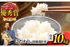 【先行予約】 【令和7年度】 くまさんの輝き 白米 10kg (1袋) （2025年10月下旬ごろ順次発送） 米 こめ コメ お米 はくまい 精米【坂本農園】 [AYCC035]