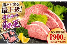 熊本県産 A5等級 黒毛和牛 和王 希少部位 ステーキ（ハネシタ・ミスジ・イチボ）各約150g×2 計約900g 牛肉 【帝神志方ミート 株式会社】 牛 肉 ハネシタ ミスジ イチボ 希少 セット 食べ比べ A5 和牛 国産 熊本 [AYCH013]