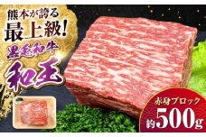 熊本県産 A5等級 黒毛和牛 和王赤身ブロック 約500g【帝神志方ミート 株式会社】 牛 肉 モモ もも 赤身 ブロック ローストビーフ 焼き肉 バーベキュー A5 和牛 国産 熊本 [AYCH014]