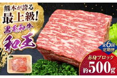 【全6回定期便】熊本県産A5等級 黒毛和牛 和王 赤身ブロック 約500g 計約3kg【帝神志方ミート 株式会社】 牛 肉 モモ もも 赤身 ブロック ローストビーフ 焼き肉 バーベキュー A5 和牛 国産 熊本 定期便 [AYCH033]
