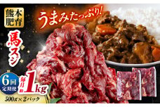【全6回定期便】 馬スジ 計6kg 1回あたり1kg（500g×2パック） / 肉 お肉 馬肉 スジ 筋 煮込み 冷凍【五右衛門フーズ熊本店】 [AYBV032]