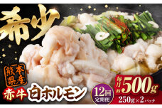 【全12回定期便】 赤牛 ホルモン 500g（250g×2パック） / お肉 肉 牛肉 あか牛 小腸 シロホルモン もつ 熊本県産 冷凍【五右衛門フーズ熊本店】 [AYBV039]