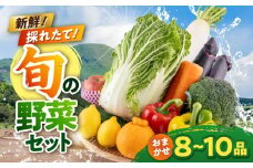 旬の野菜 おまかせ 詰め合わせ セット 8〜10品目 やさい 産直 産地直送 熊本県【合志物産販売 志来菜彩】 [AYCA001]