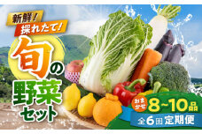 【全6回定期便】旬な野菜おまかせ詰め合わせセット やさい 産直 産地直送 熊本県【合志物産販売 志来菜彩】 [AYCA004]