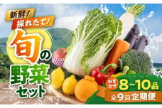 【全9回定期便】旬な野菜おまかせ詰め合わせセット やさい 産直 産地直送 熊本県【合志物産販売 志来菜彩】 [AYCA005]