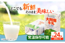 大阿蘇牛乳 250ml（24本入り）牛乳 ミルク カルシウム 熊本県産 国産【合同会社 たべたせいか】 熊本 九州 生乳100% 常温  [AYCB028]