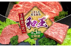 【全3回定期便】 熊本県産 A5等級 黒毛和牛 和王 食べ比べ 牛肉 和牛 国産【帝神志方ミート 株式会社】 牛 肉 モモ もも 赤身 ブロック スライス ステーキ ローストビーフ A5 熊本 定期便 [AYCH055]