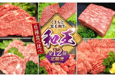 【全12回定期便】 熊本県産 A5等級 黒毛和牛 和王 食べ比べ 牛肉 和牛 国産【帝神志方ミート 株式会社】 牛 肉 モモ もも 赤身 ブロック 肩ロース ロース 小間切れ スライス ステーキ ローストビーフ 焼き肉 A5 熊本 定期便 [AYCH058]